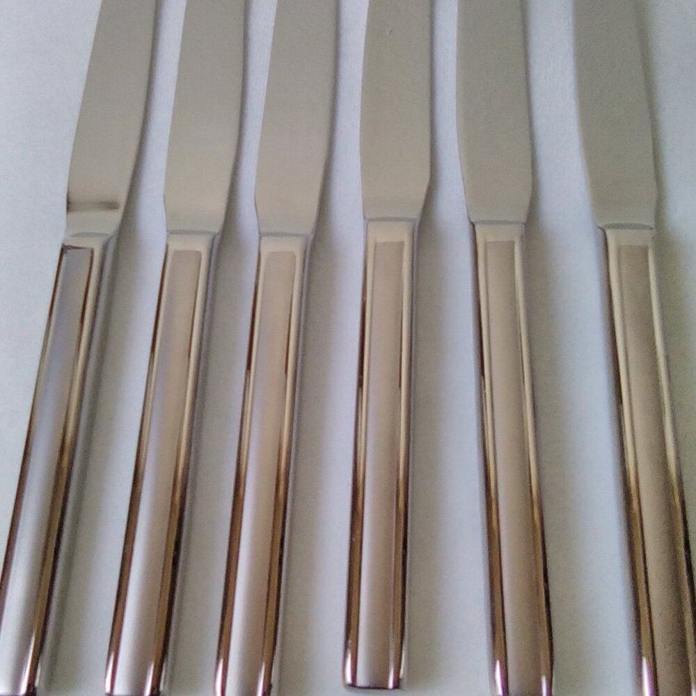 Splendide 18/8 Stainless Steel Dinner Knives